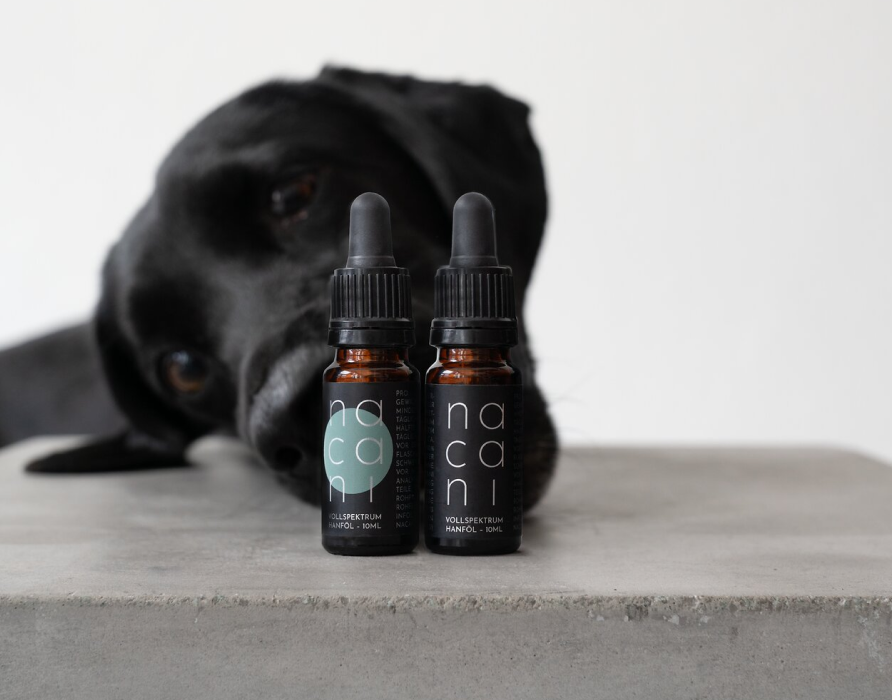 CBD Öle für Tiere - Reine Naturprodukte aus 100 % ›Hanfsaft‹