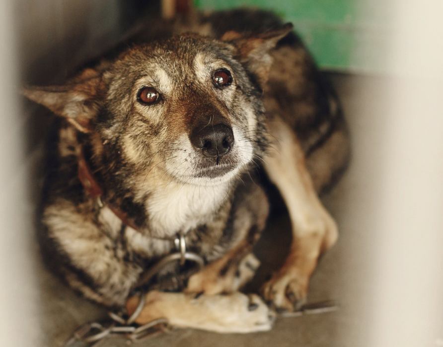 Deprivationssyndrom - für weniger Stress und mehr Balance