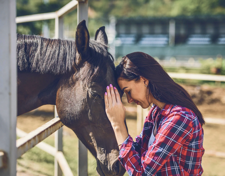 Trainingstools - für entspannte Pferde
