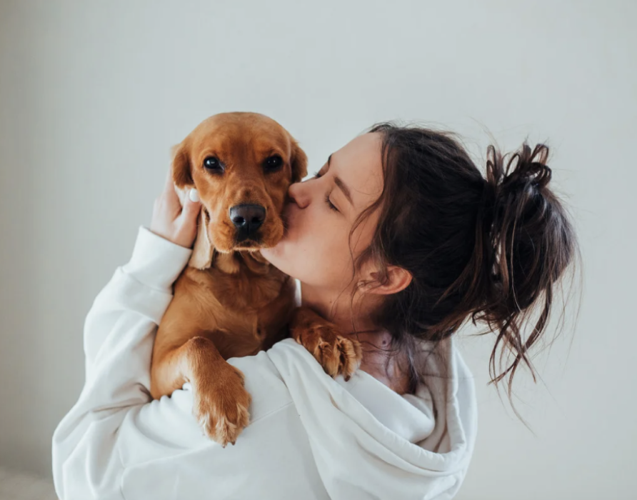 Fanartikel - für echte nacani Liebhaber