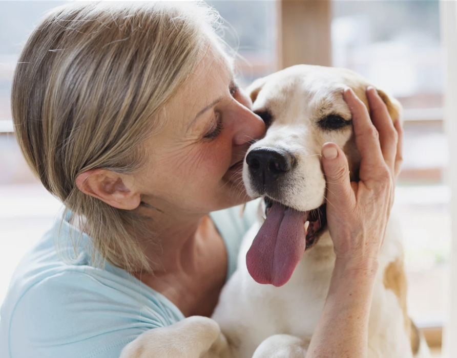 Gutscheine - Überrasche deine Freunde
