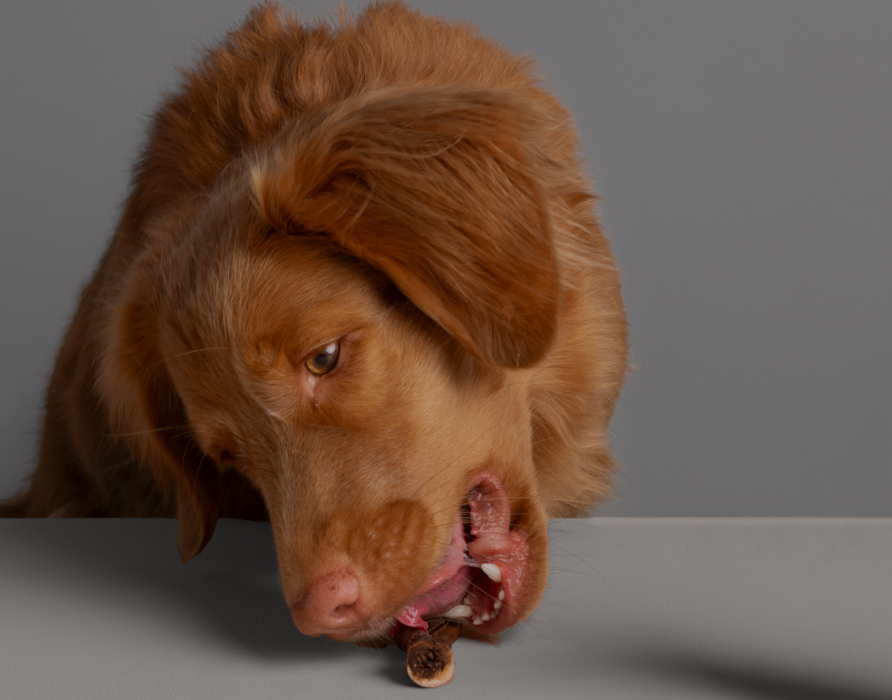 Kauartikel - Leckerer Kauspaß für Hunde