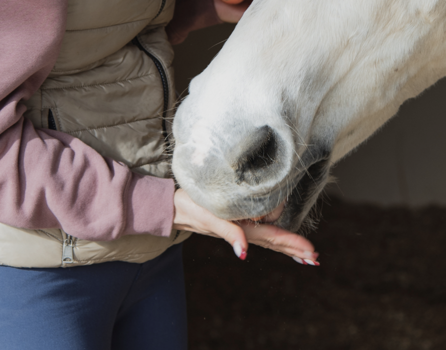 Treats - functional and tasty
