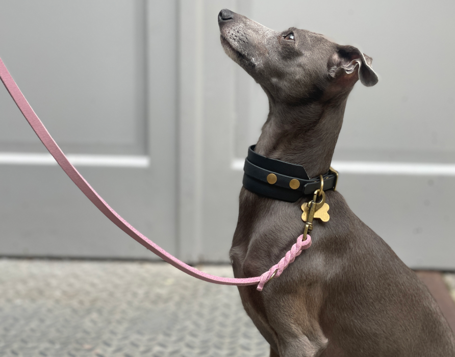 Leashes - oband'ld x nacani