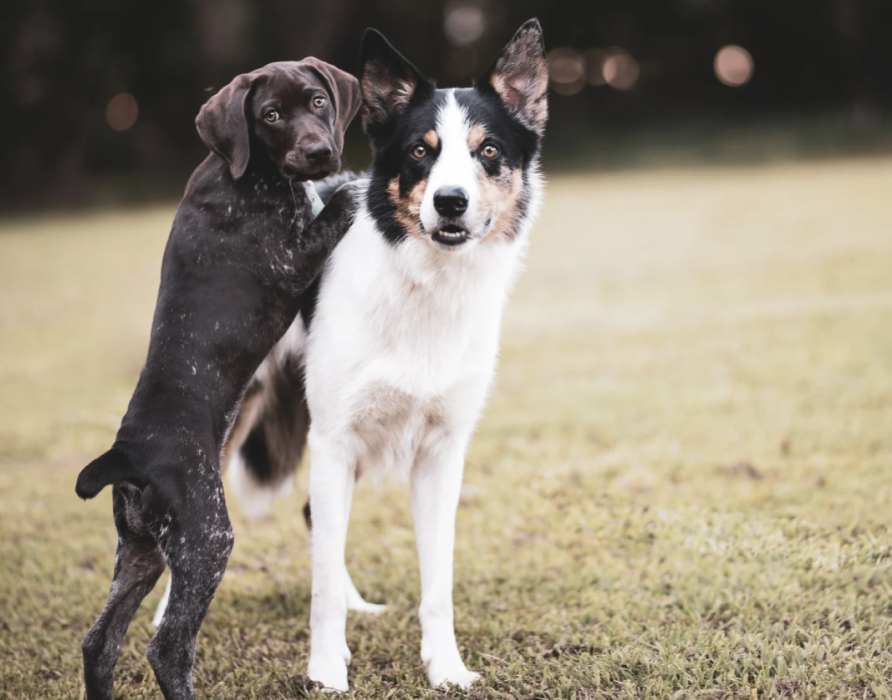 Pubertät - Entspannt durch die herausforderndste Lebensphase