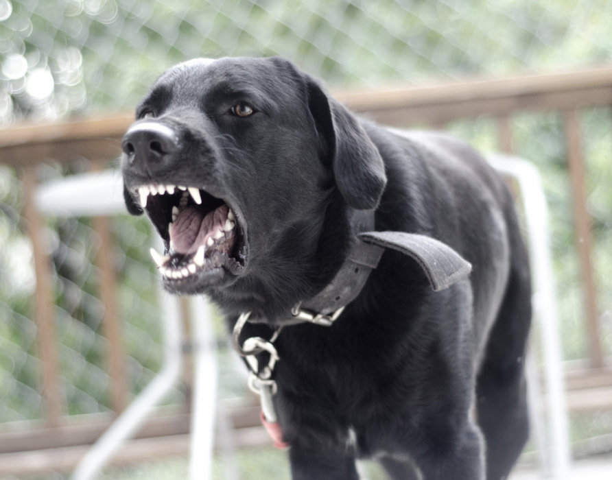 Reaktivität - Coolness in allen Lebenslagen bewahren