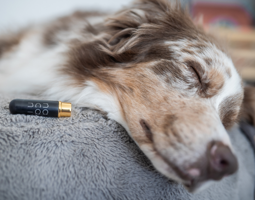 Trainingstools - Konditionierte Entspannung & mehr
