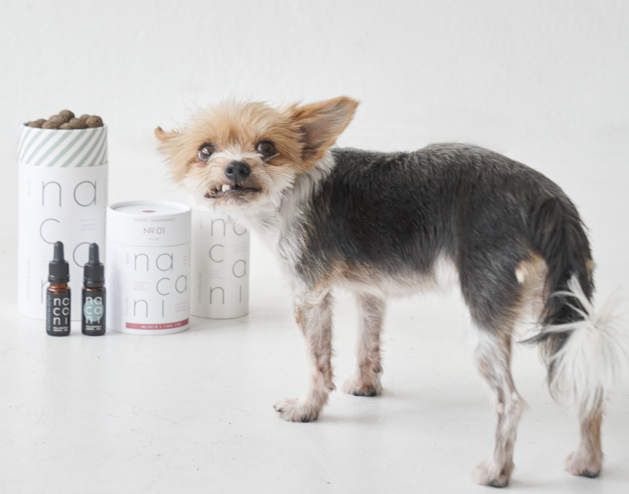 Our Range – Functional Snacks and Clever Tools for Animals
