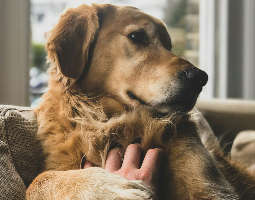 Hilft bei - Psychischen und physischen Problemen
